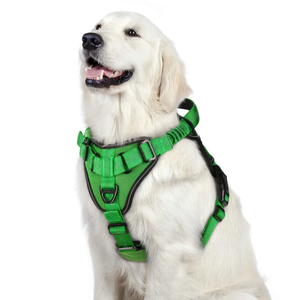 ARNES PECHERA CON ABSORCION DE IMPACTOS TALLA M