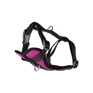 ARNES MILOU TALLA XL