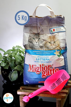 ARENA MORANDO 5K FRAGANCIA PINO