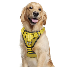 ARNES PECHERA CON ABSORCION DE IMPACTOS TALLA L