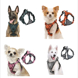 ARNES PECHERA CON ABSORCION DE IMPACTOS TALLA XL