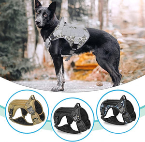 ARNES ENTRENAMIENTO RAZAS FUERTES TALLA XL