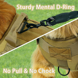 ARNES ENTRENAMIENTO RAZAS FUERTES TALLA M