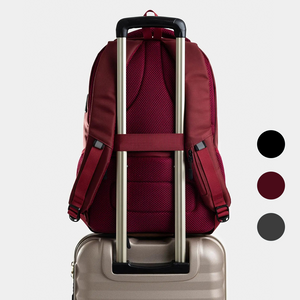 Morral William Grande Nappa