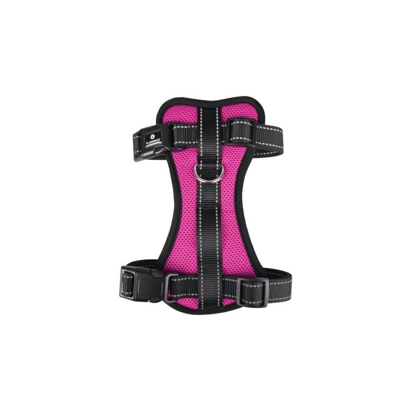 ARNES MILOU TALLA XL