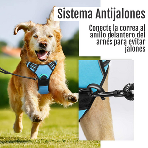 ARNES PECHERA CON DOBLE ARGOLLA