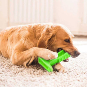 Cepillo de limpieza dental para perros