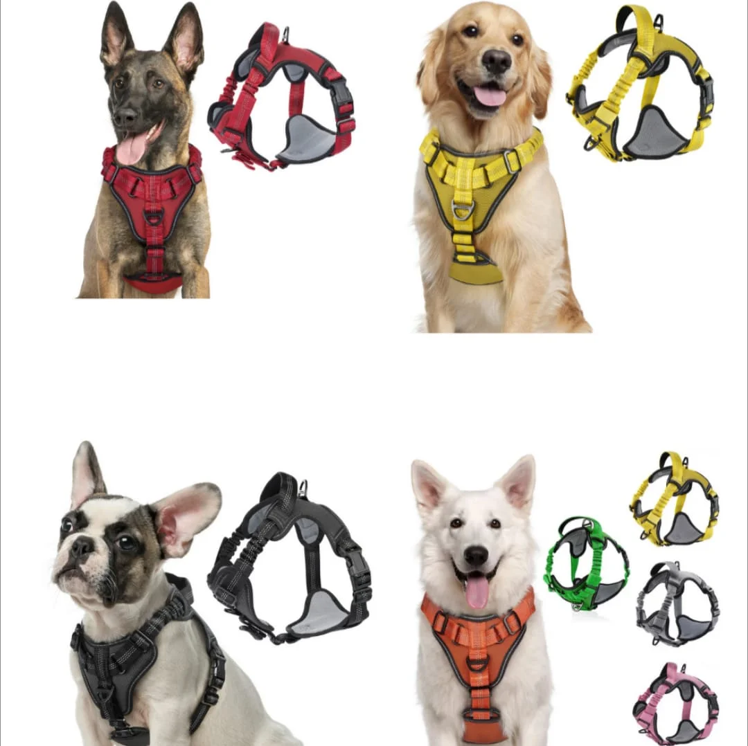 ARNES PECHERA CON ABSORCION DE IMPACTOS TALLA XL