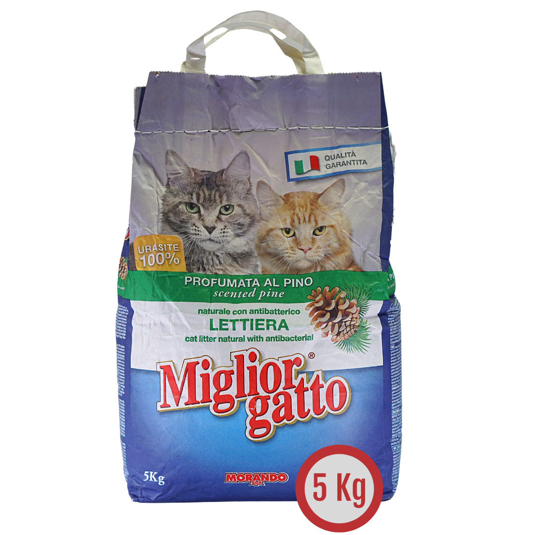 ARENA MORANDO 5K FRAGANCIA PINO