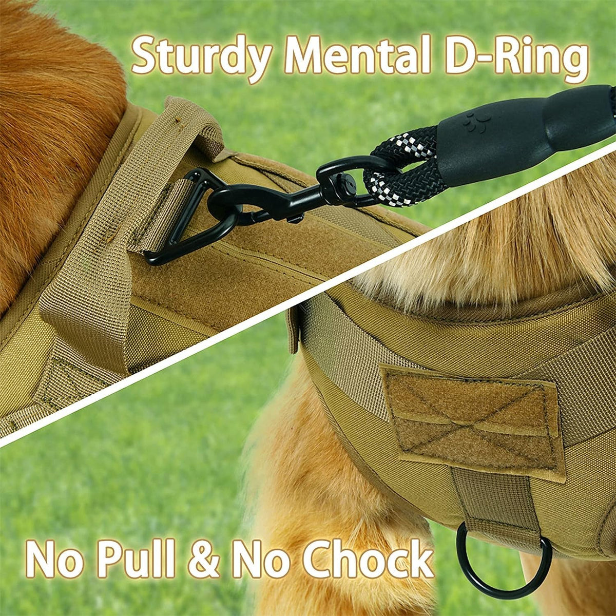 ARNES ENTRENAMIENTO RAZAS FUERTES TALLA L