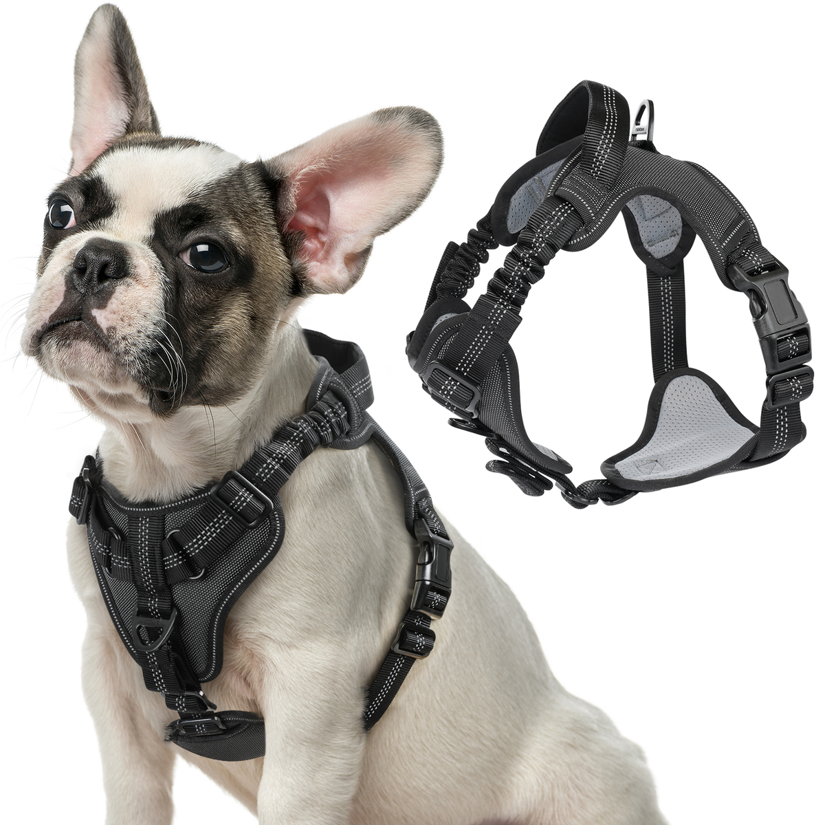 ARNES PECHERA CON ABSORCION DE IMPACTOS TALLA S