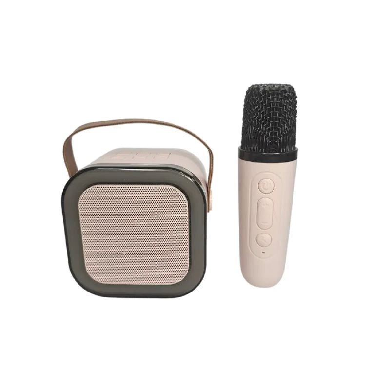 Bafle Con Microfono Parlante