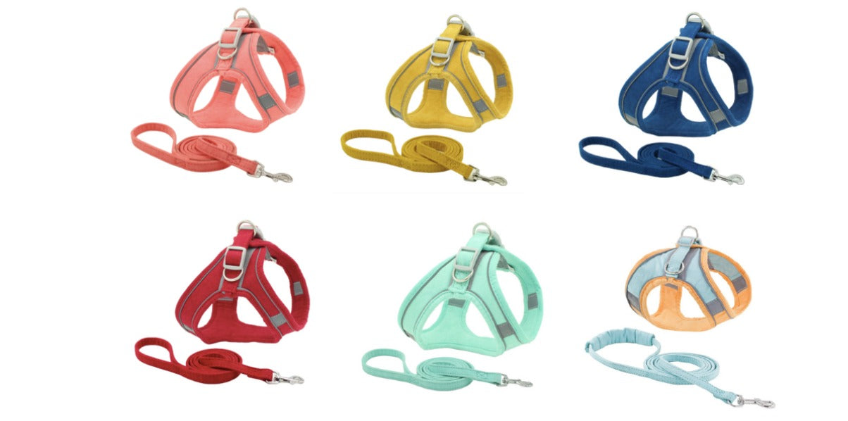 ARNES NOBUCK CON CORREA TALLA L