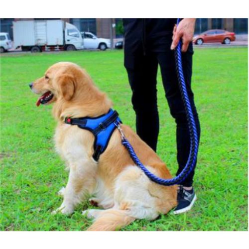 ARNES CON CORBATIN Y CORREA A CUAROS TALLA L