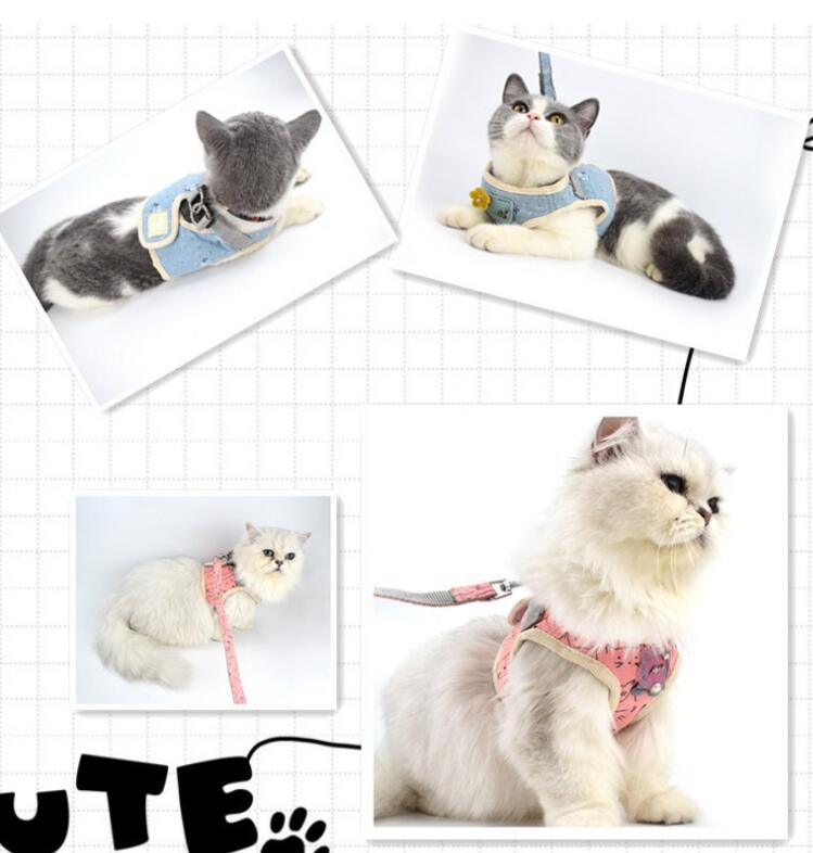 ARNES CHALECO PERROS/GATO L