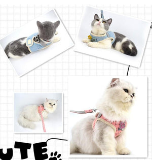 ARNES CHALECO PERROS/GATO L