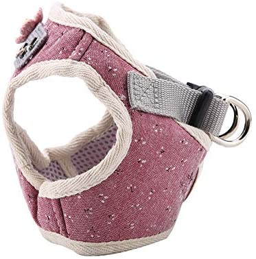 ARNES CHALECO PERROS/GATO L