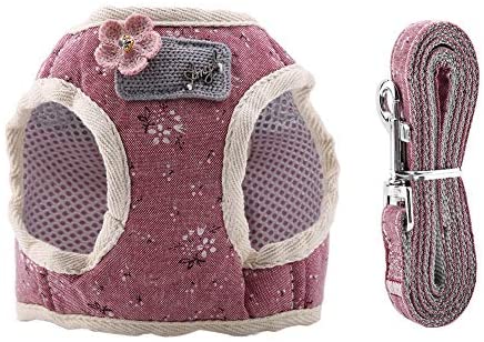 ARNES CHALECO PERROS/GATO XL