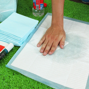 ALFOMBRILLA ABSORBENTE ACOSTUMBRADOR 60*90 CM